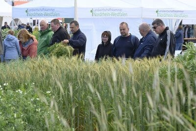 Современные решения для защиты растений для перспективного земледелия