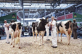 EuroTier-2014: подготовка идет полным ходом