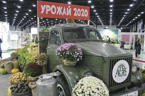 Прорывная «Агрорусь»