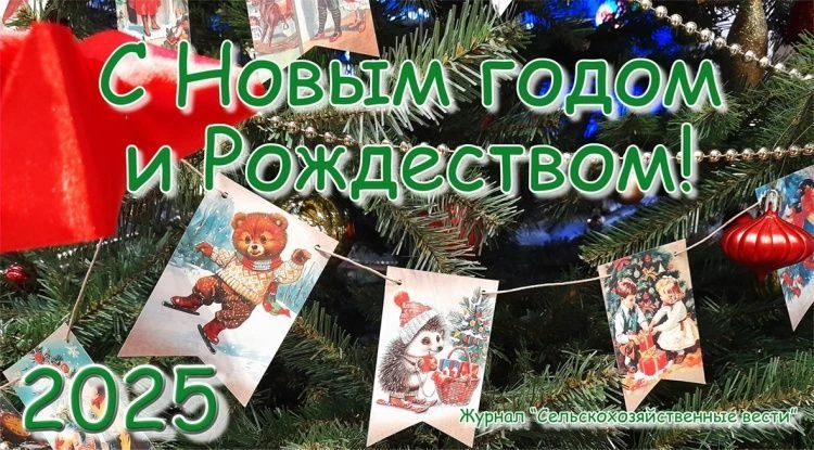 Дорогие читатели, подписчики, друзья! Дорогие читатели, подписчики, друзья!