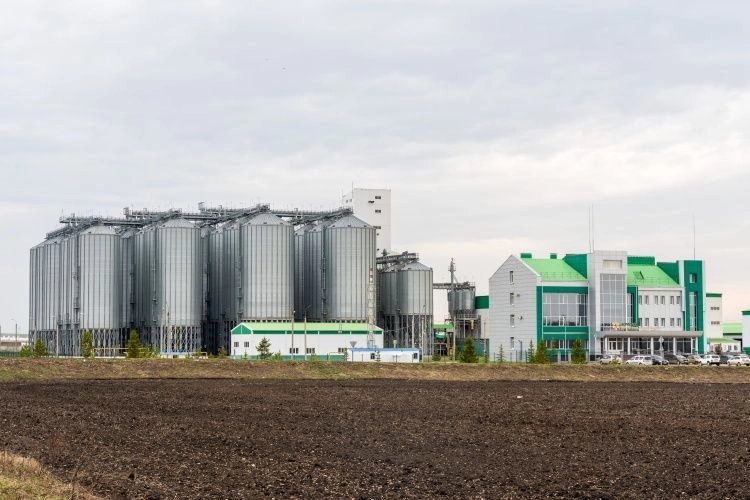 «АГРОСИЛА» наращивает использование отечественной селекции по ключевым культурам