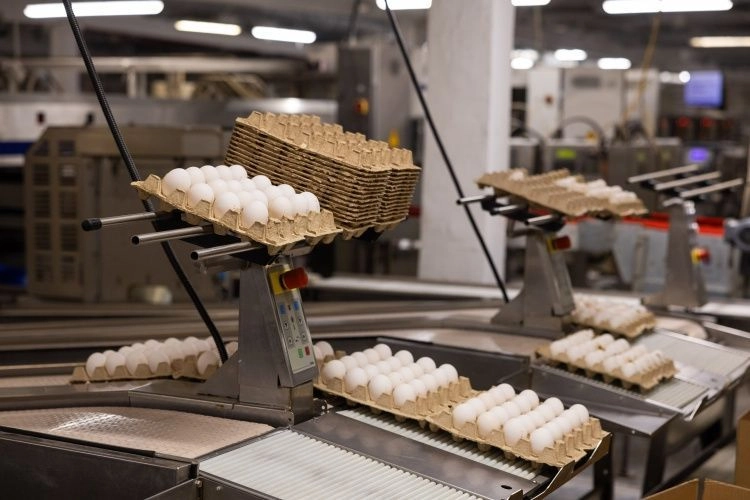 Пермская птицефабрика введет в строй три новых птичника