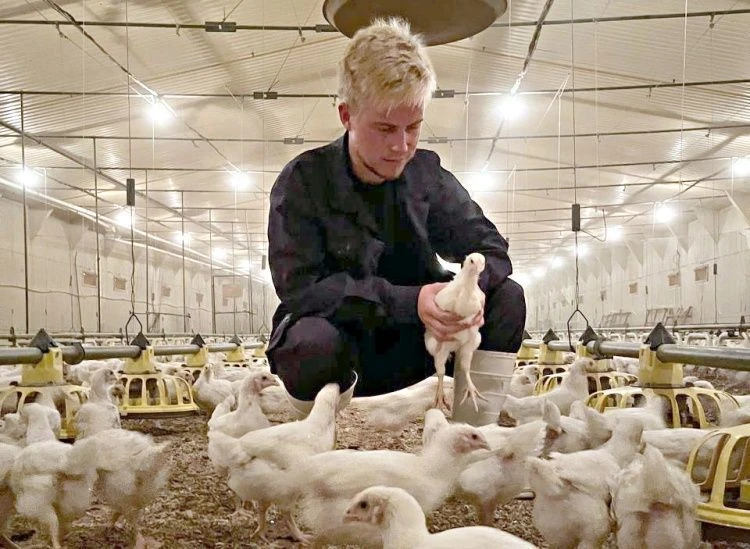Студенты получают практический опыт Студенты получают практический опыт
