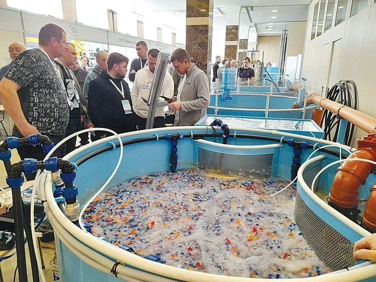 Рыбе нужно создать условия