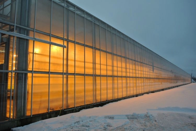 За пять лет рост на четверть