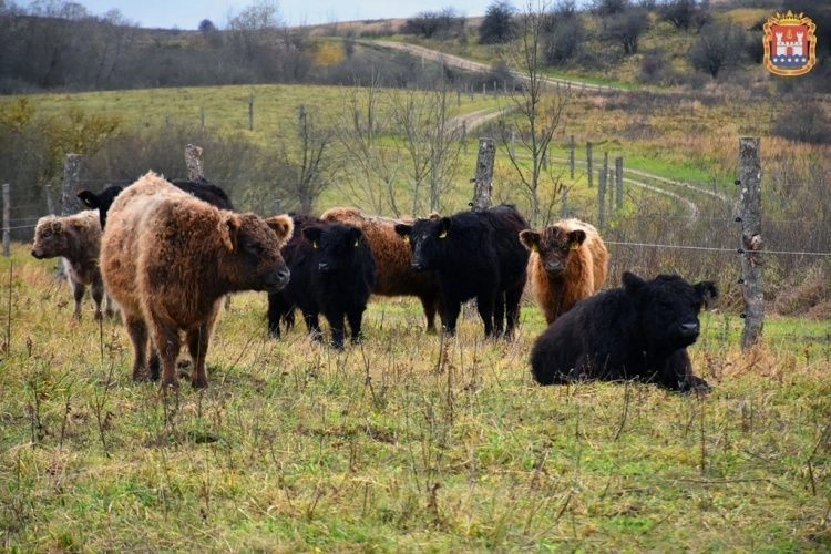 Около 1 млрд рублей вложил крупный инвестор в проекты сельхозотрасли