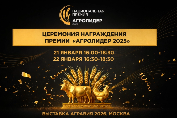 Церемония награждения победителей национальной премии