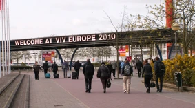VIV-2010: лучше, чем ожидалось