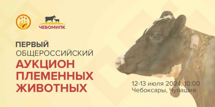 Аукцион племенных животных пройдет в Чувашии Аукцион племенных животных пройдет в Чувашии