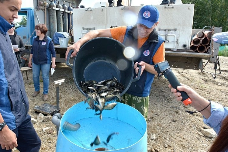 На Южном Урале ожидается увеличение производства рыбы На Южном Урале ожидается увеличение производства рыбы