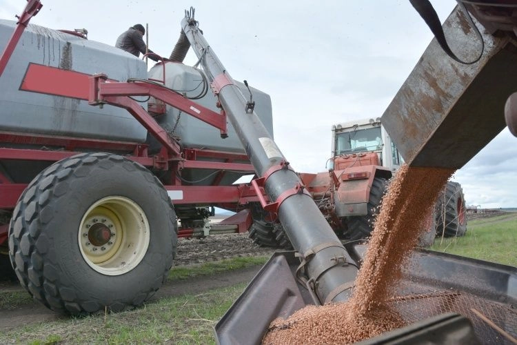 Аграриям напомнили о правилах проверки и оформления семян перед посевной