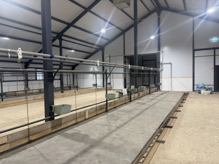 Новое здание фермы готово к переводу поголовья Новое здание фермы готово к переводу поголовья