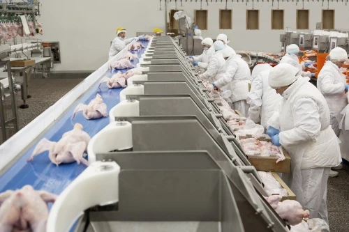 «Мираторг» расширит комплекс в Брянской области
