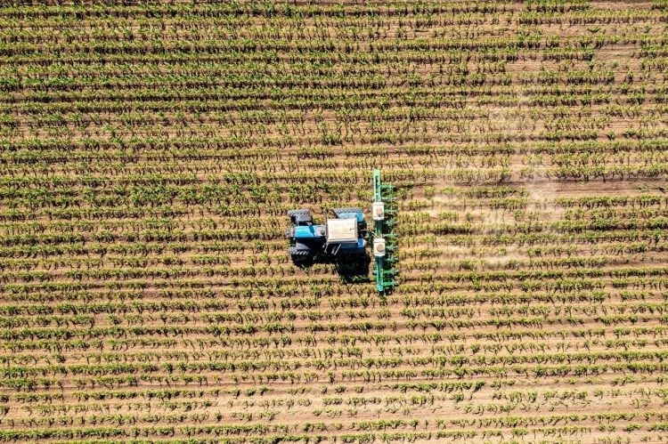 Утвержден пятилетний план развития «РЗ Агро»