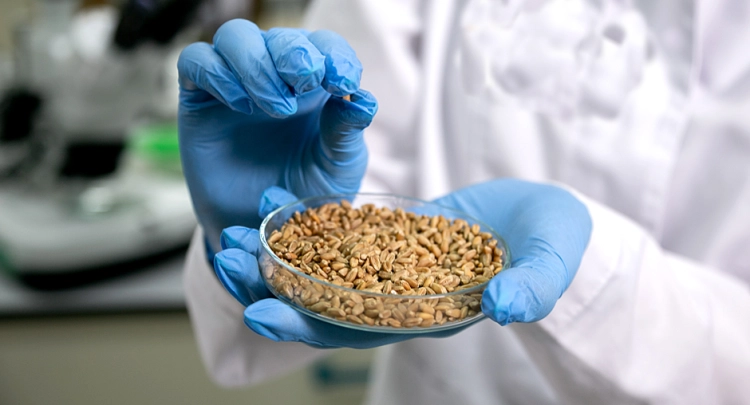 Государственный мониторинг – 2026 