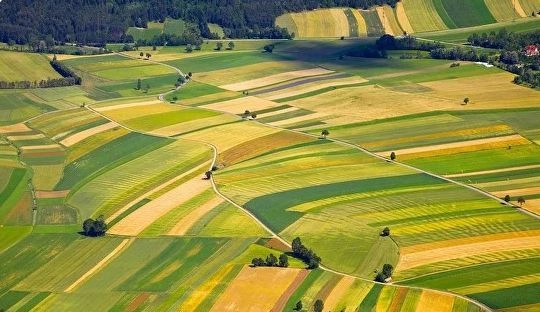 «Соль земли»: новый сезон рейтинга управленцев АПК