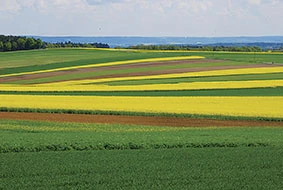 ЗЕМЛЕДЕЛИЕ в условиях изменения климата