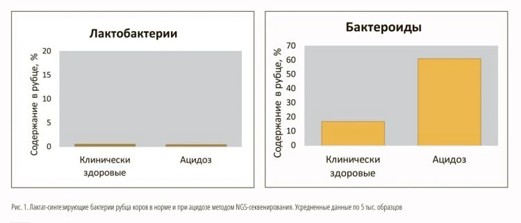Поднять жирность молока при помощи заквасок Поднять жирность молока при помощи заквасок
