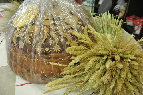 Экспорт органической сельхозпродукции из России: заказов гораздо больше, чем продукции