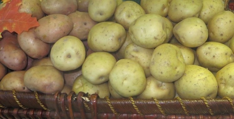 Как избежать пятен и гнили на картофеле