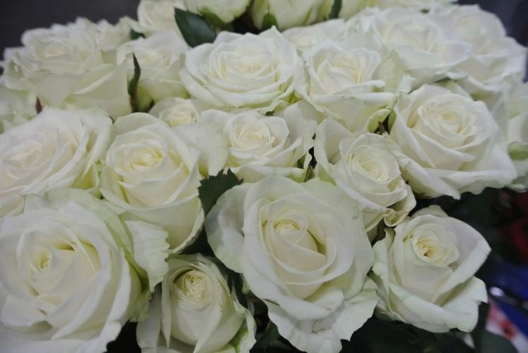 Цветоводство на подъеме