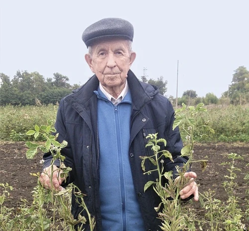 60 лет в науке