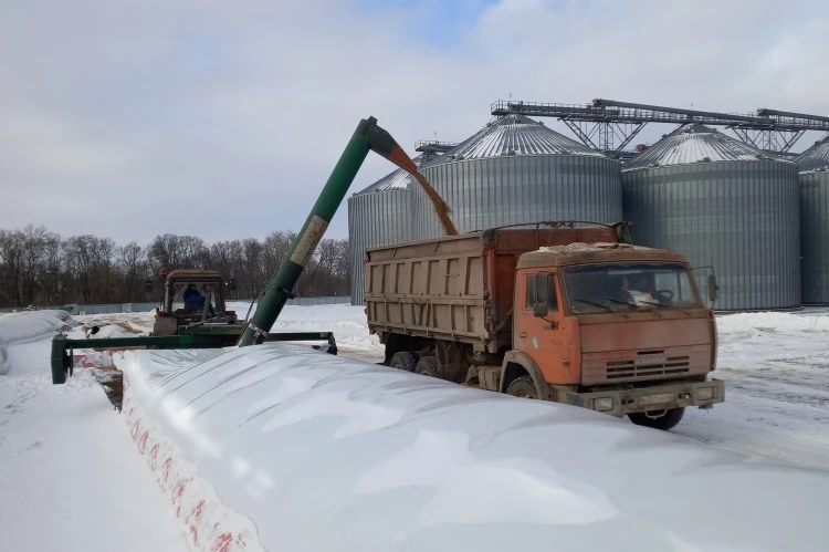 Началась растарка рукавов с зерном 