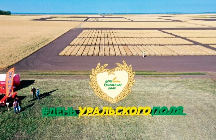 «День Уральского поля-2022» покажет «перезагрузку» рынка сельхозтехники «День Уральского поля-2022» покажет «перезагрузку» рынка сельхозтехники