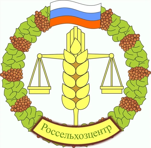 В Омске обсудят трансграничную борьбу с саранчовыми