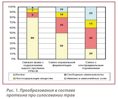 Проблемы клостридиальной порчи корма