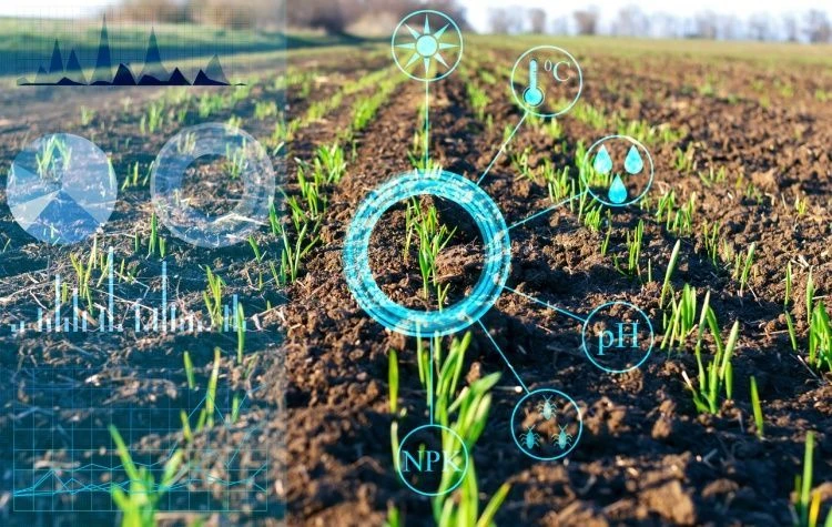 Цифровая система планирования урожая Цифровая система планирования урожая