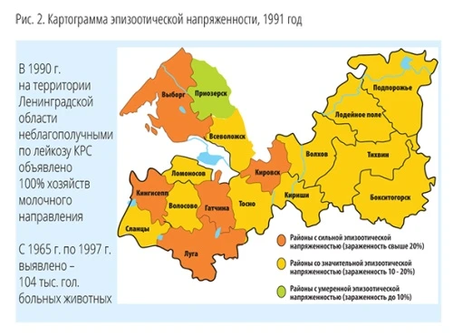 Ленинградская область –жизнь без лейкоза