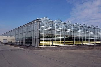 Плюс 2,5 тыс. тонн овощей закрытого грунта в год