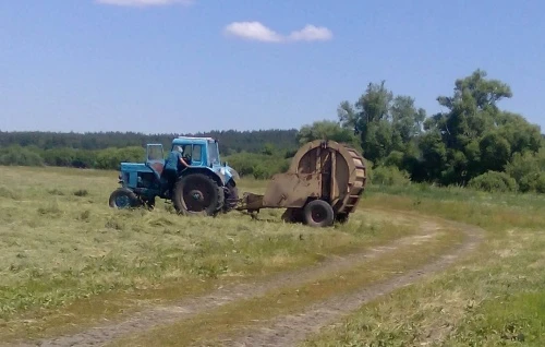 Пензенские аграрии заготовили 141 тыс. тонн сена, 63,2 тыс. тонн сенажа, 105 тонн силоса