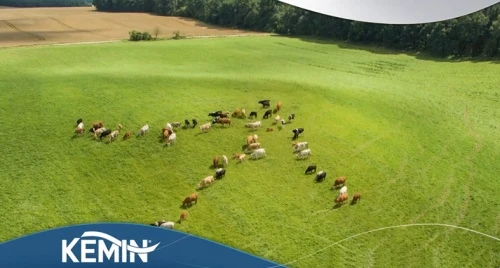 Компания «Кемин» расширяет линейку продуктов
