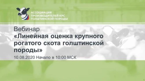 Вебинар на тему: «Линейная оценка крупного рогатого скота голштинской породы»