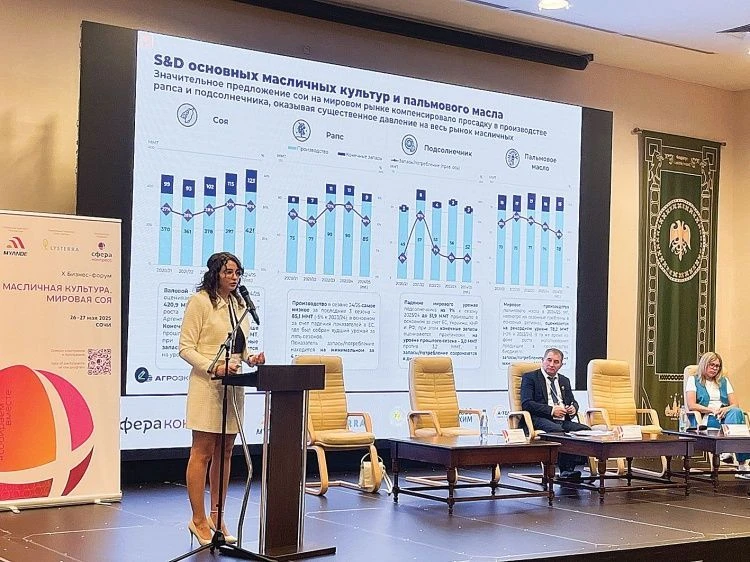 Масличные: архитектура решений Масличные: архитектура решений