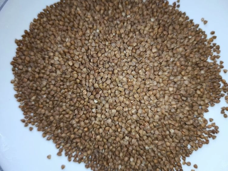 Гречневая крупа для Чили