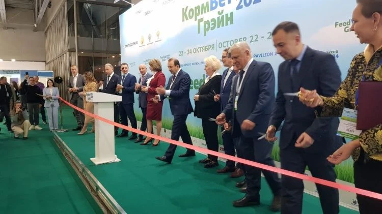 Выставка для профессионалов открыта Выставка для профессионалов открыта
