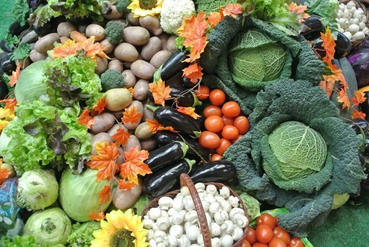 Подмосковье увеличит производство растениеводческой продукции на 25% Подмосковье увеличит производство растениеводческой продукции на 25%