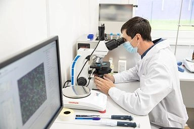 Нацпроект «Технологическое обеспечение продовольственной безопасности» стимулирует развитие аграрной науки и технологий