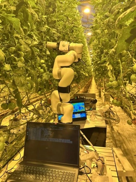 Учёные СтГАУ представили прототип роботизированной системы для определения болезней растений