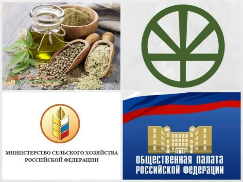 Возможно ли возрождение отрасли промышленного коноплеводства?
