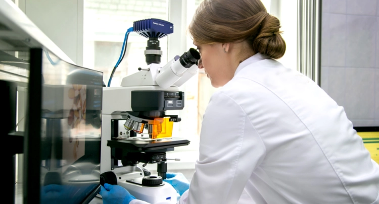 Алтайские аграрии расширяют экспорт в направлении стран Ближнего Востока