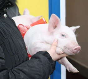 В новый год с новыми мощностями