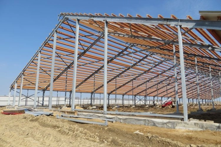 Проектирование, строительство и комплектация объектов агропромышленной инфраструктуры