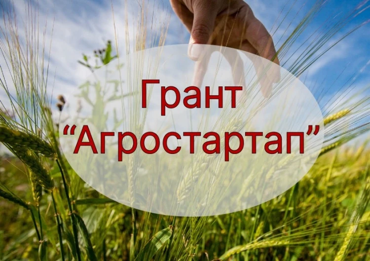 Грант «Агростартап» увеличен на 2 миллиона рублей Грант «Агростартап» увеличен на 2 миллиона рублей