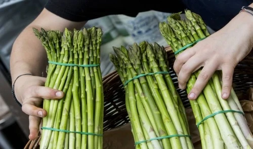 Безопасность пищевых продуктов – дело каждого