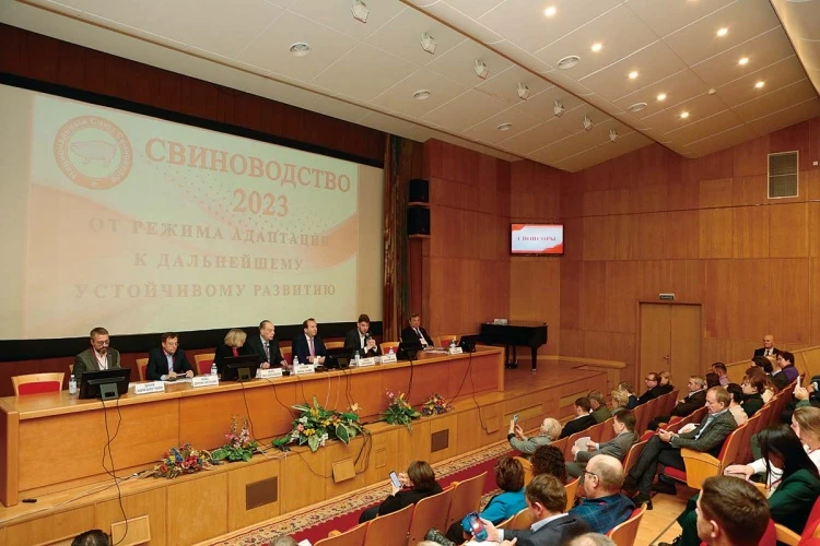 Возможности свиноводства
