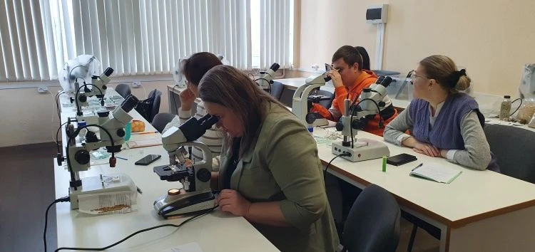 Ещё больше практических занятий по фитоэкспертизе
